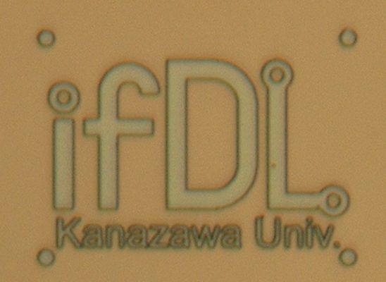 ifDL_logo_1209.jpg ifDL_logo_1209.jpg